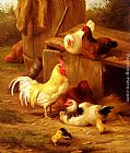Edgar Hunt Canvas Paintings - Chickens And Chicks